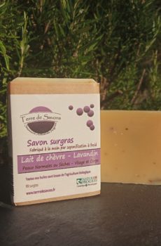Savon lait de chèvre lavandin